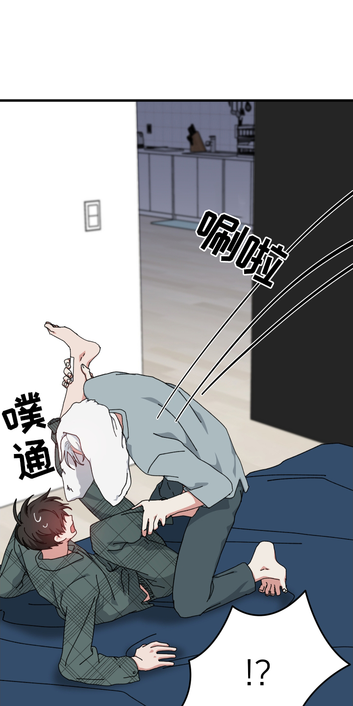 21.jpg