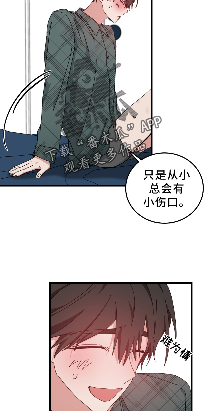 4.jpg