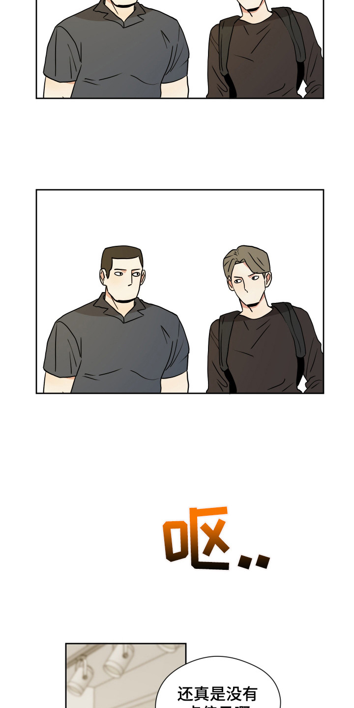 12.jpg