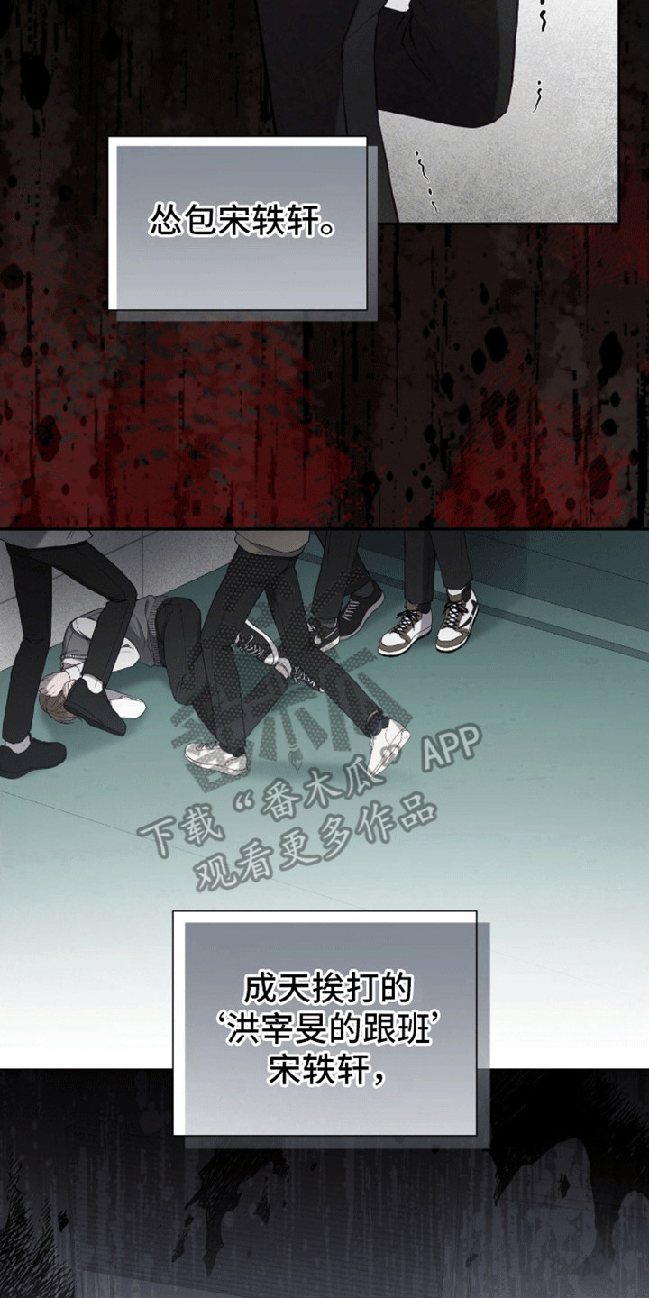 19.jpg