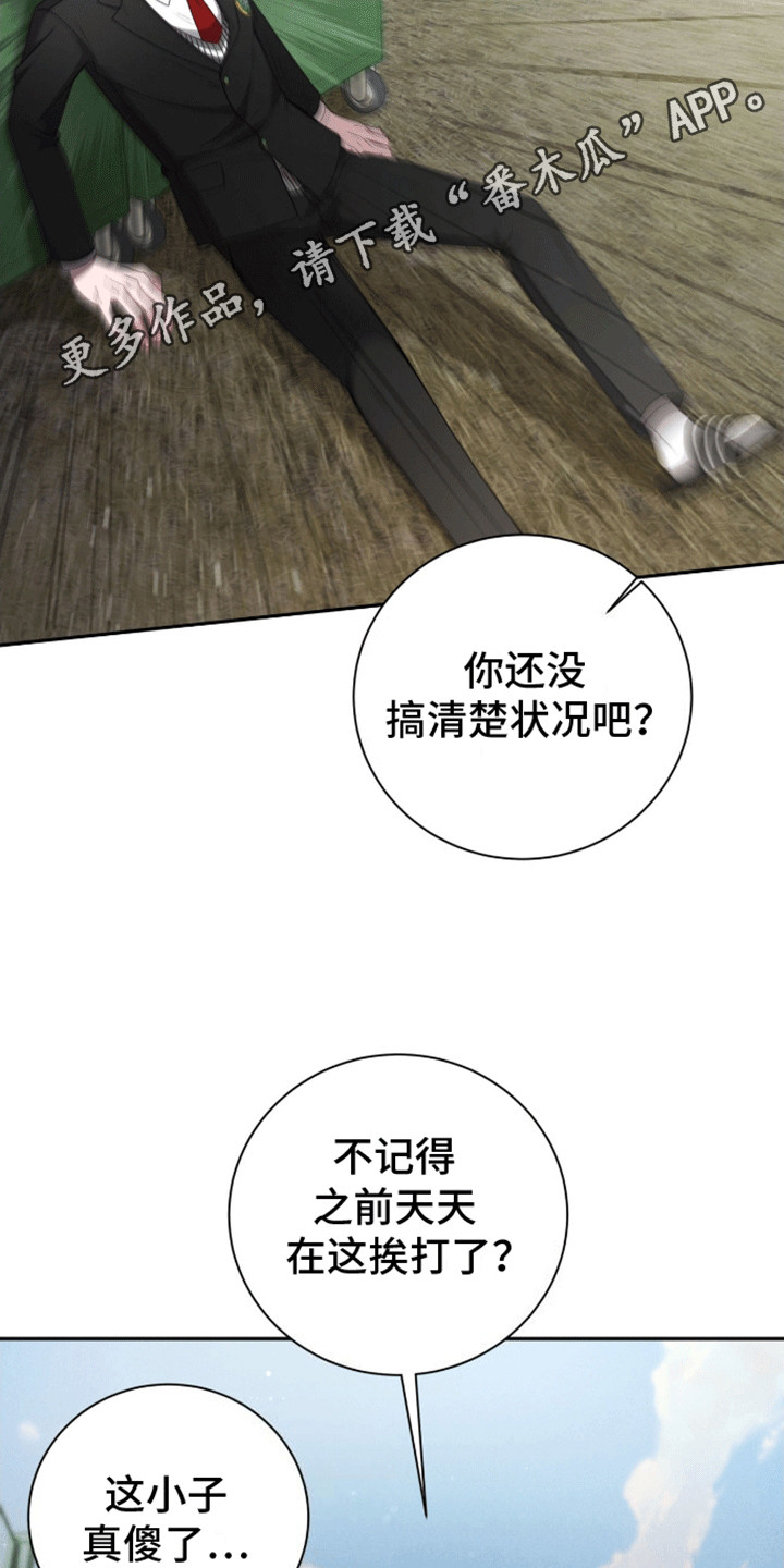 19.jpg