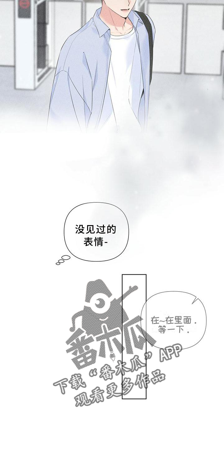 13.jpg