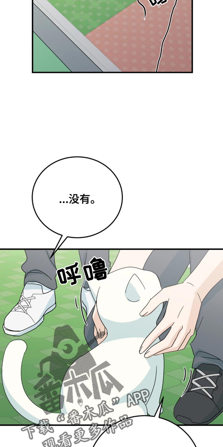 27.jpg