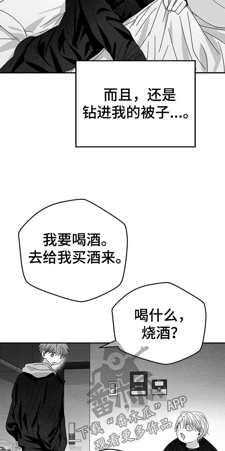 25.jpg