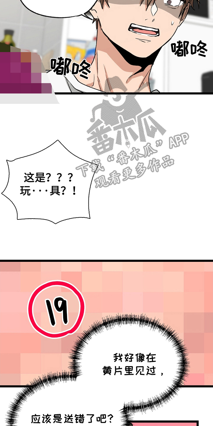 12.jpg