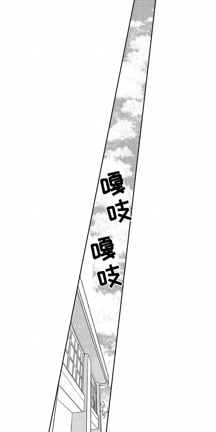13.jpg