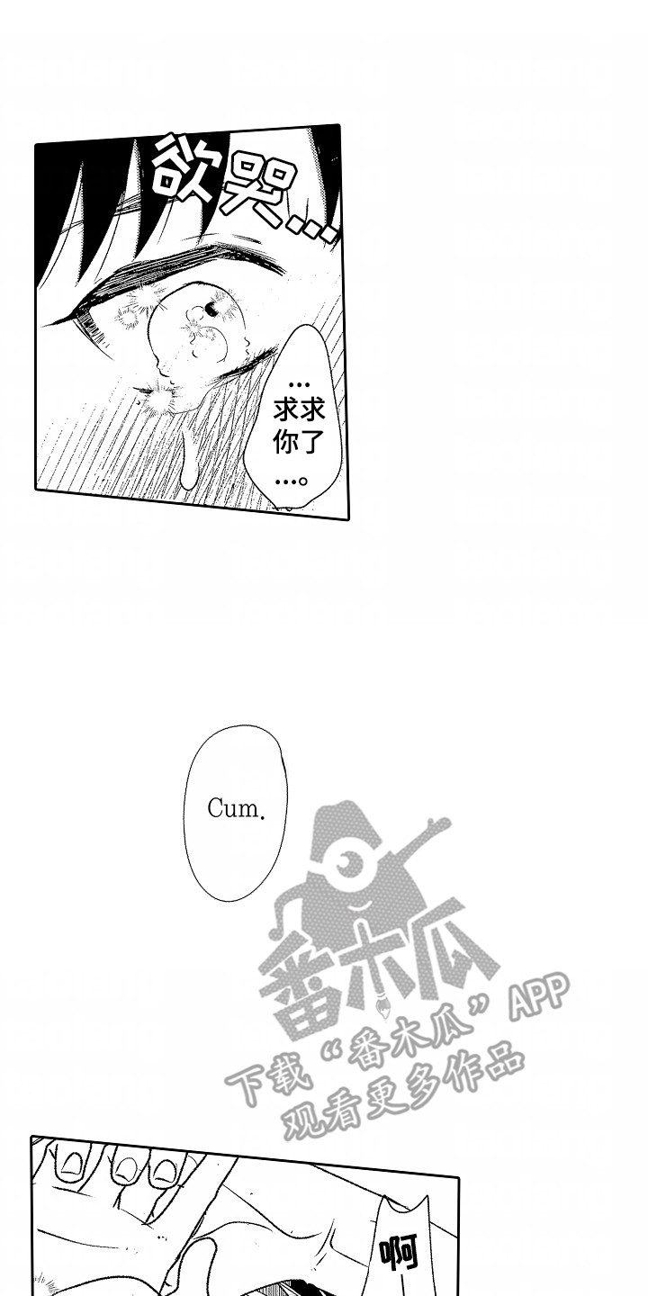 13.jpg