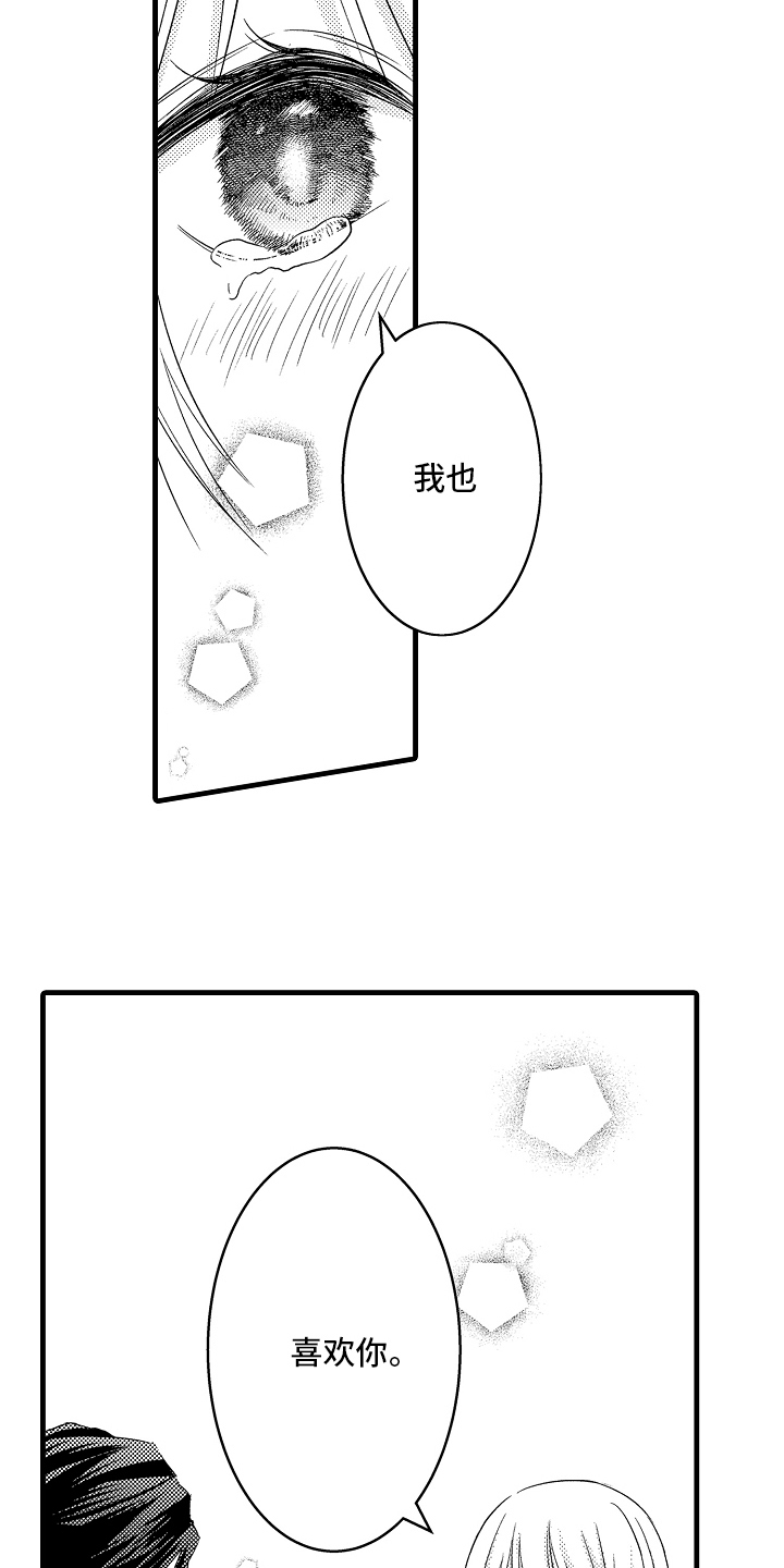 17.jpg