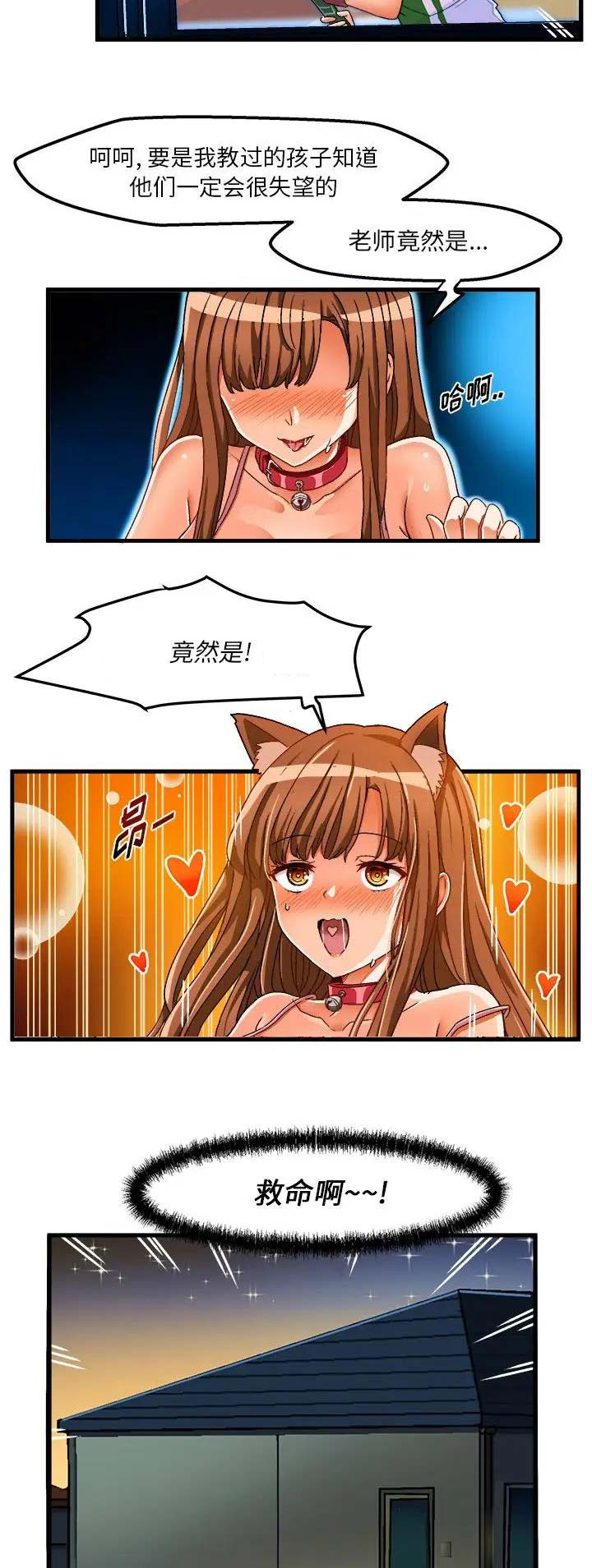13.jpg