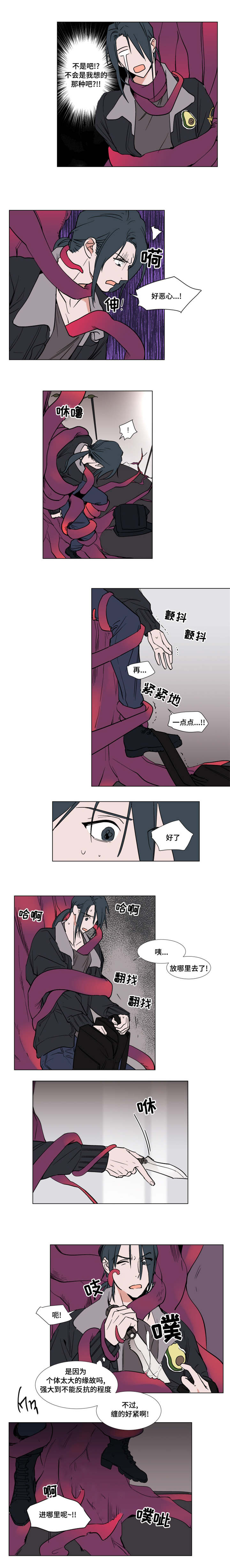 5.jpg