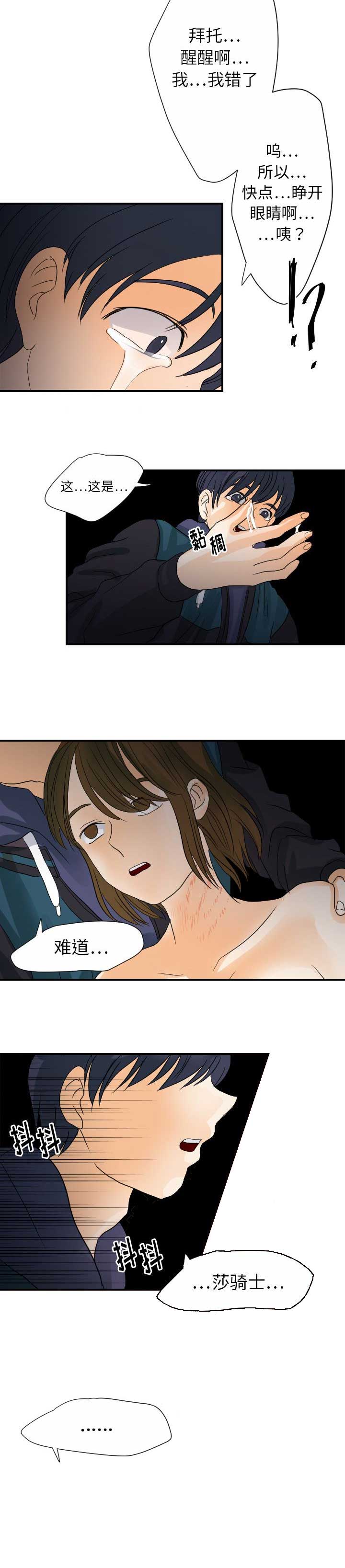 11.jpg