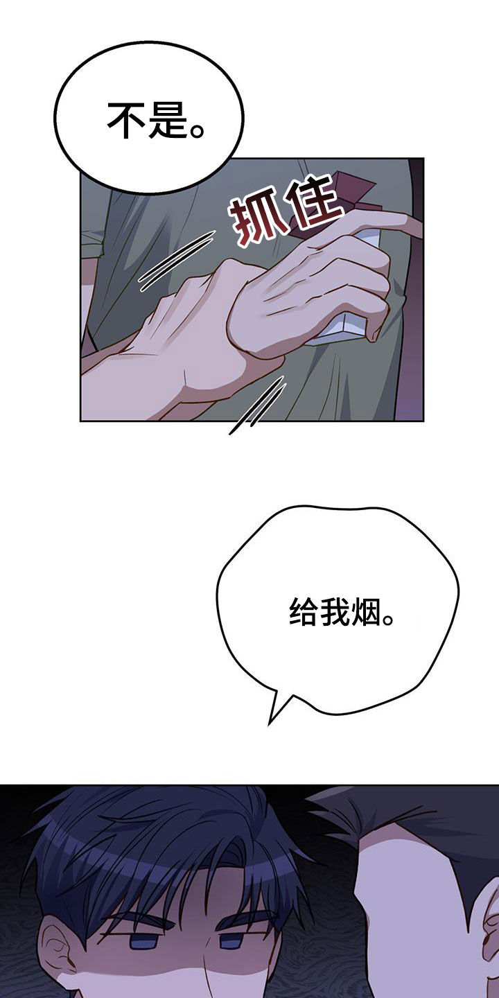 15.jpg