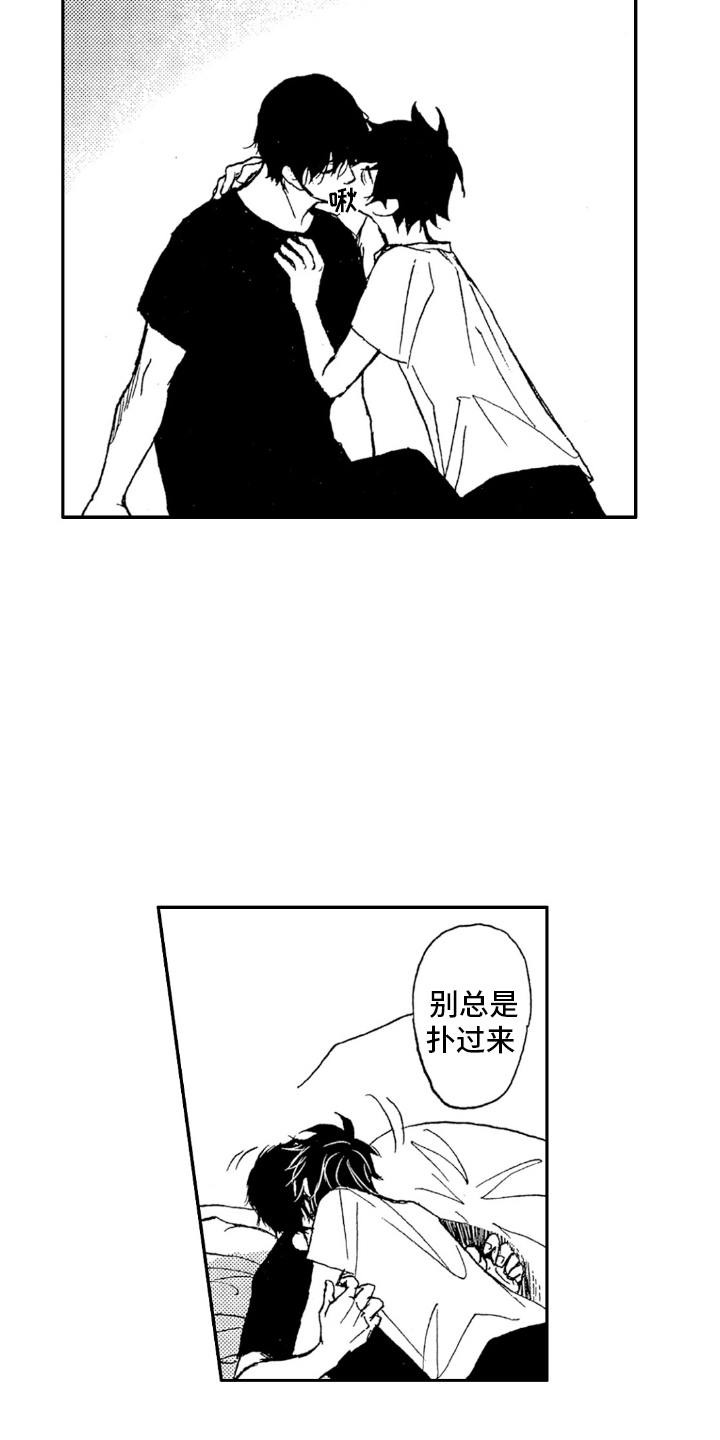 11.jpg
