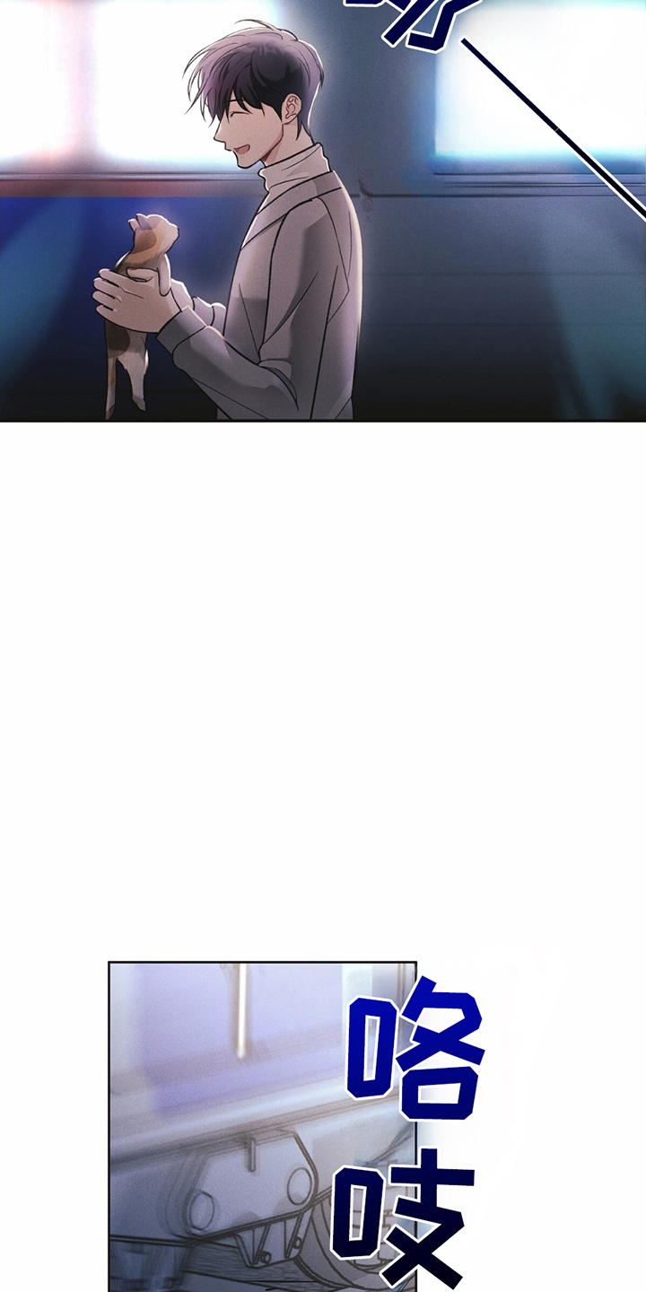 21.jpg