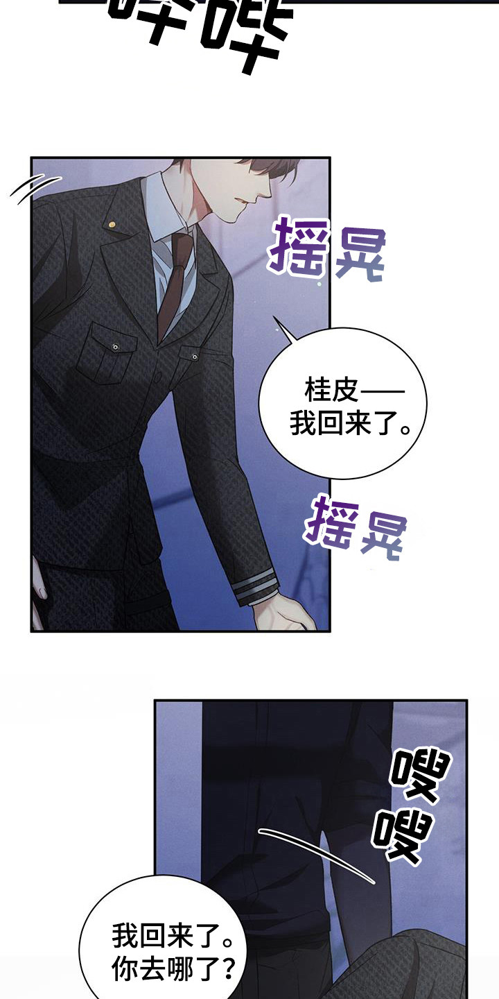 11.jpg