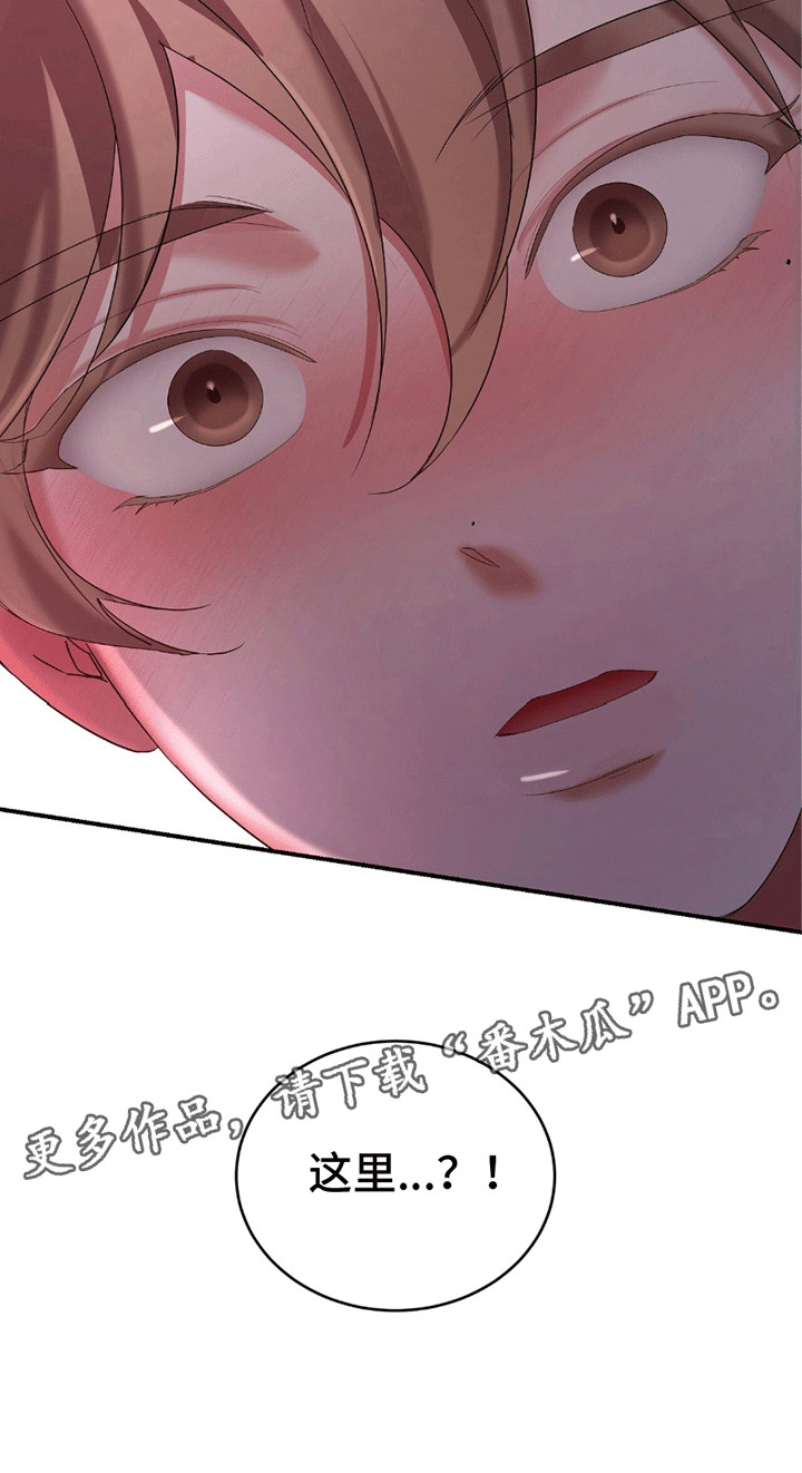 15.jpg