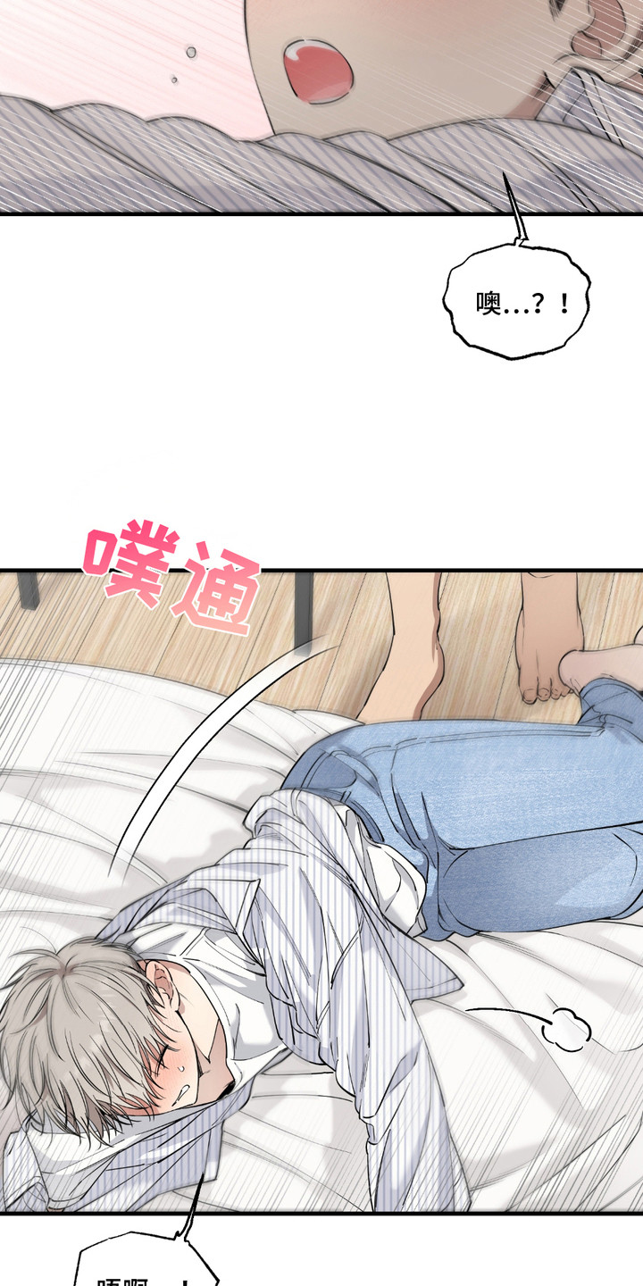 13.jpg