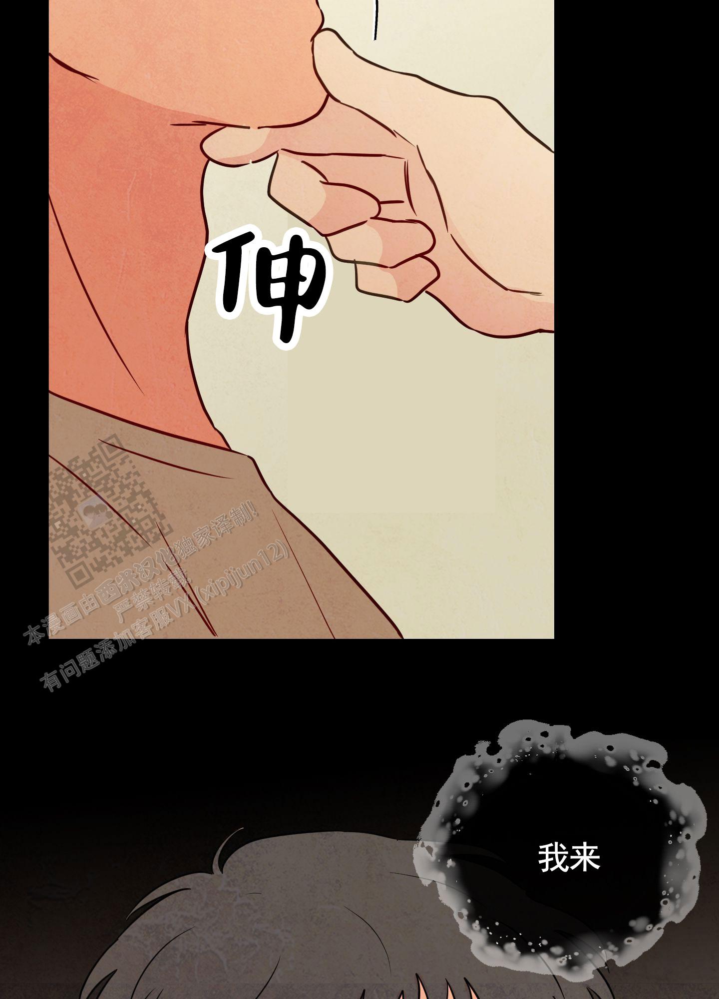 41.jpg