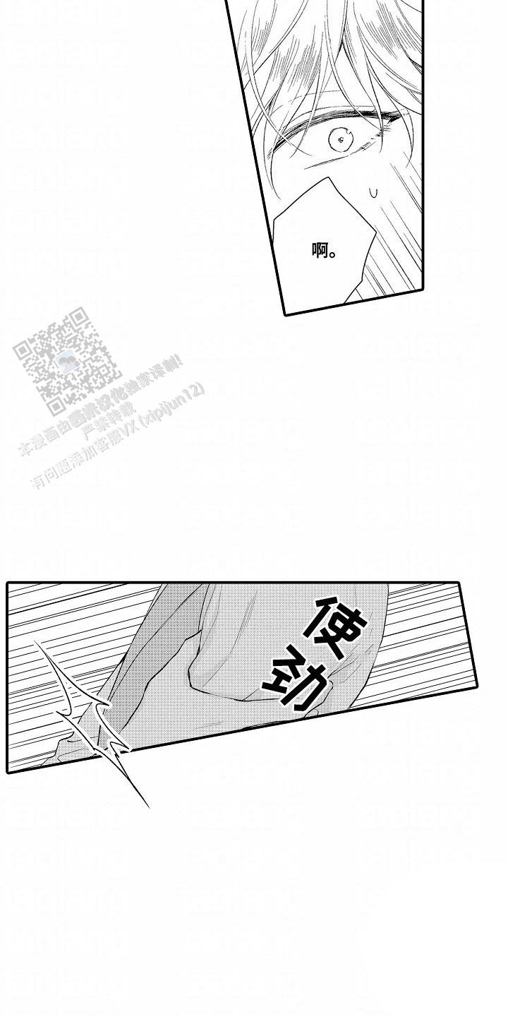 15.jpg