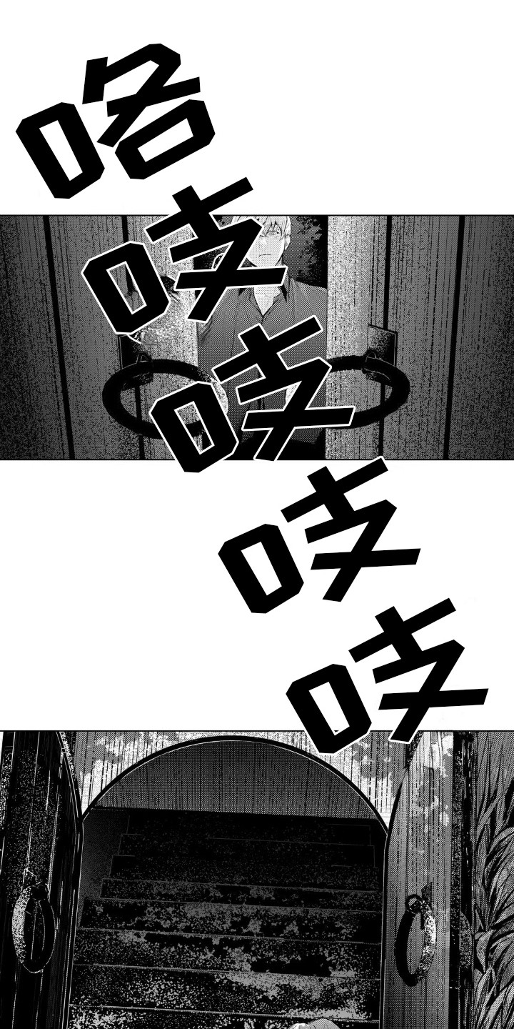 15.jpg
