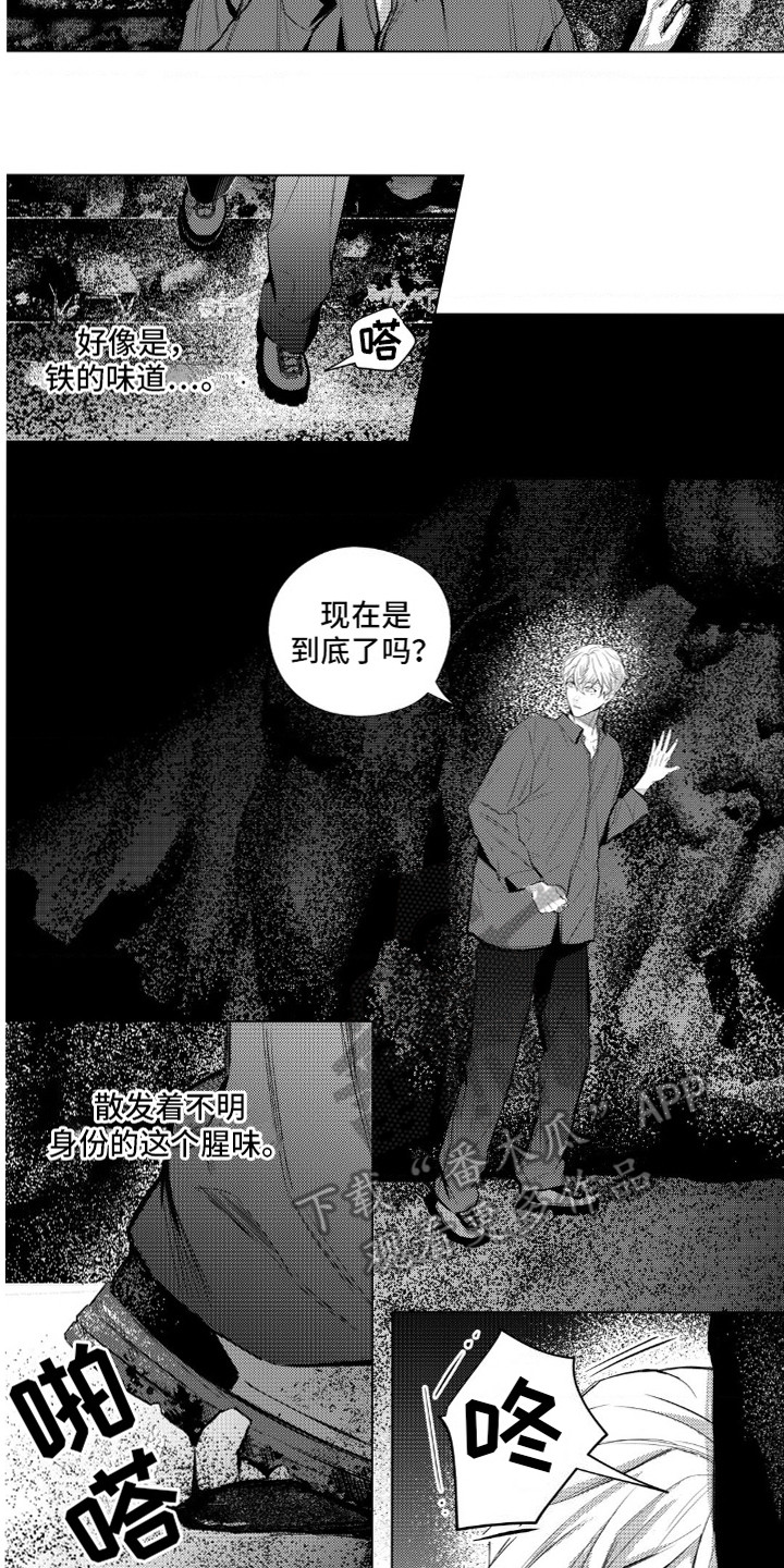 6.jpg