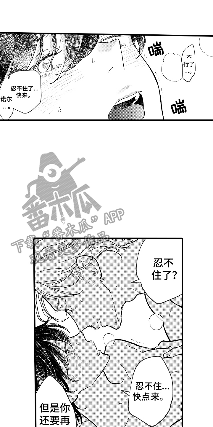 13.jpg