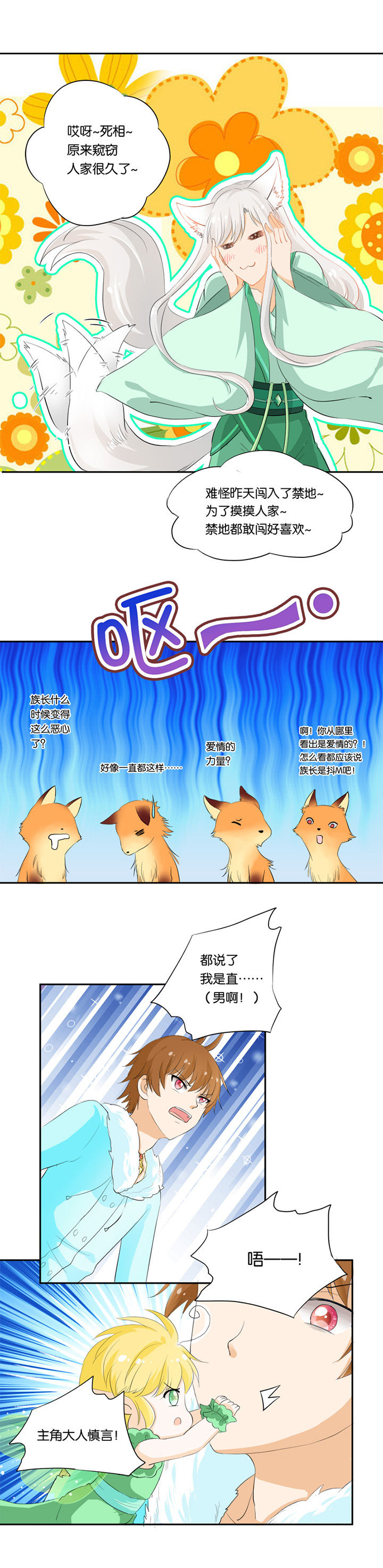 5.jpg