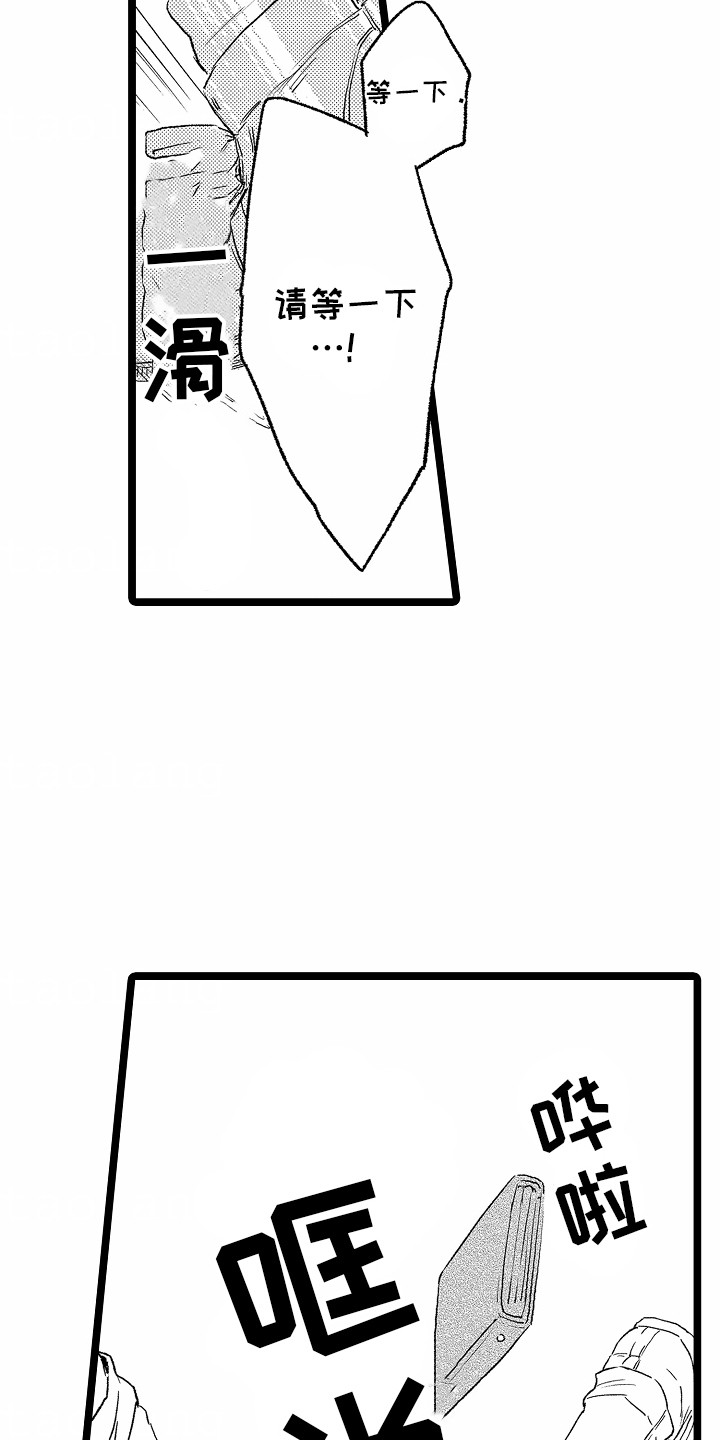 21.jpg