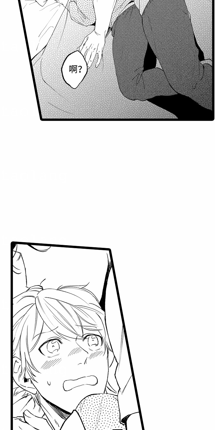 13.jpg