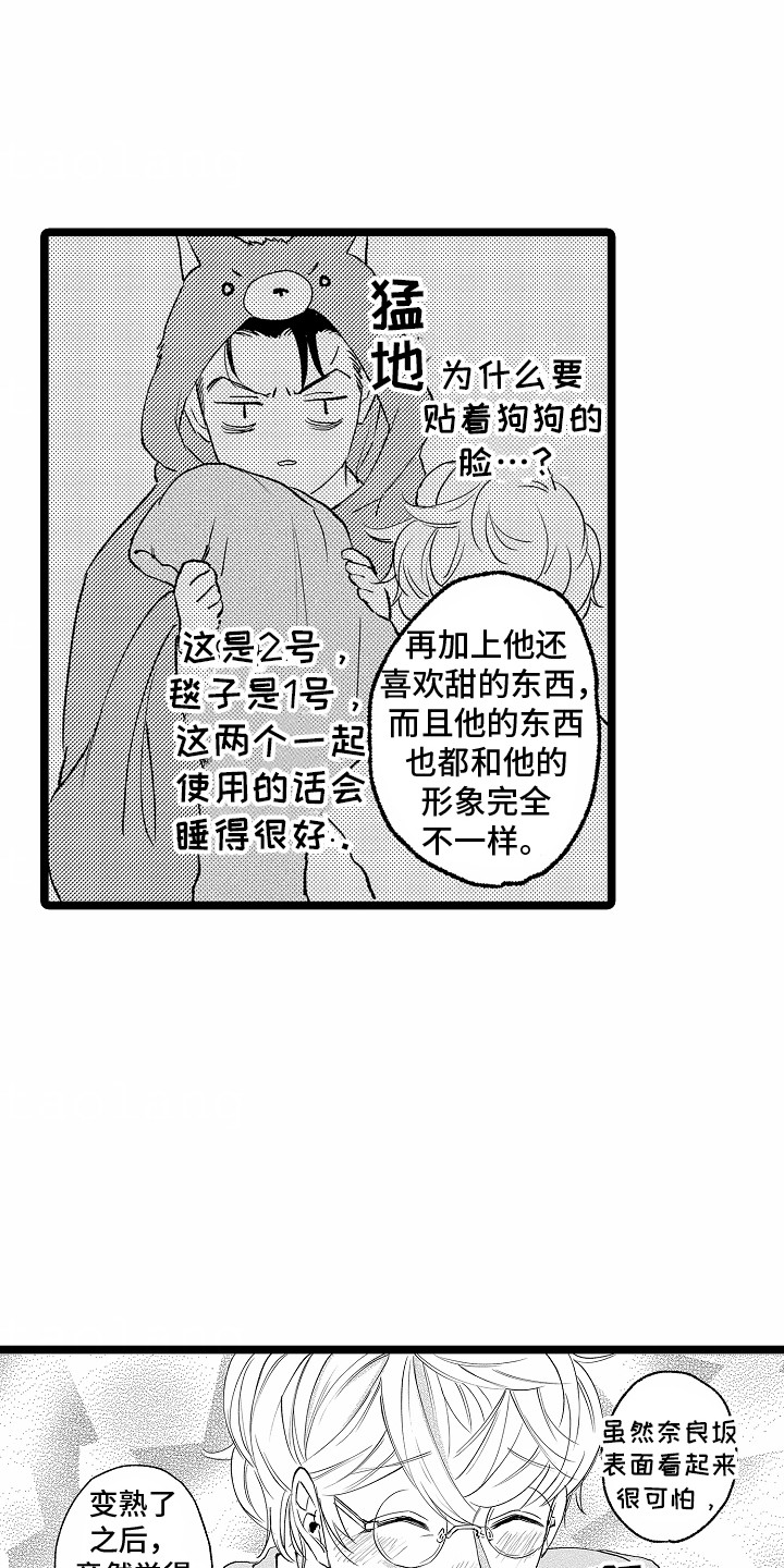 18.jpg