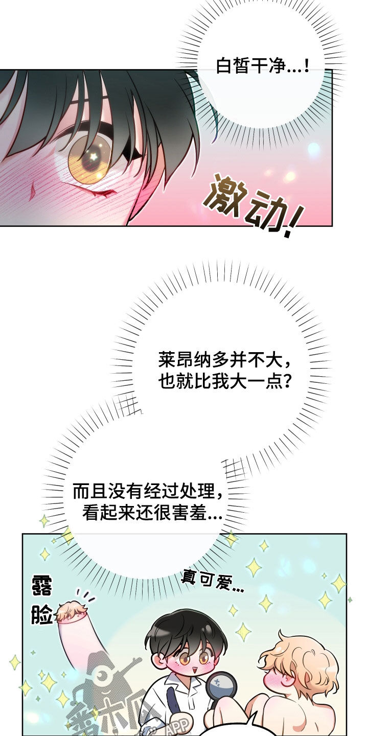 14.jpg
