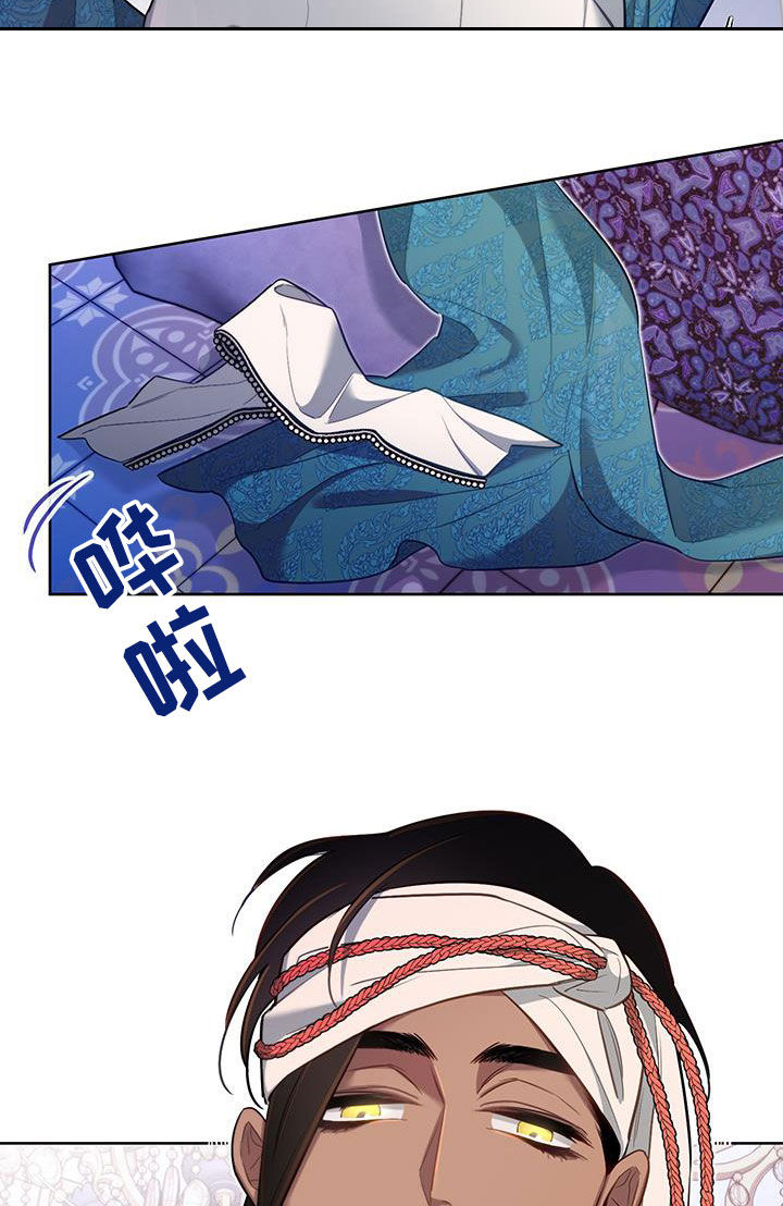 16.jpg