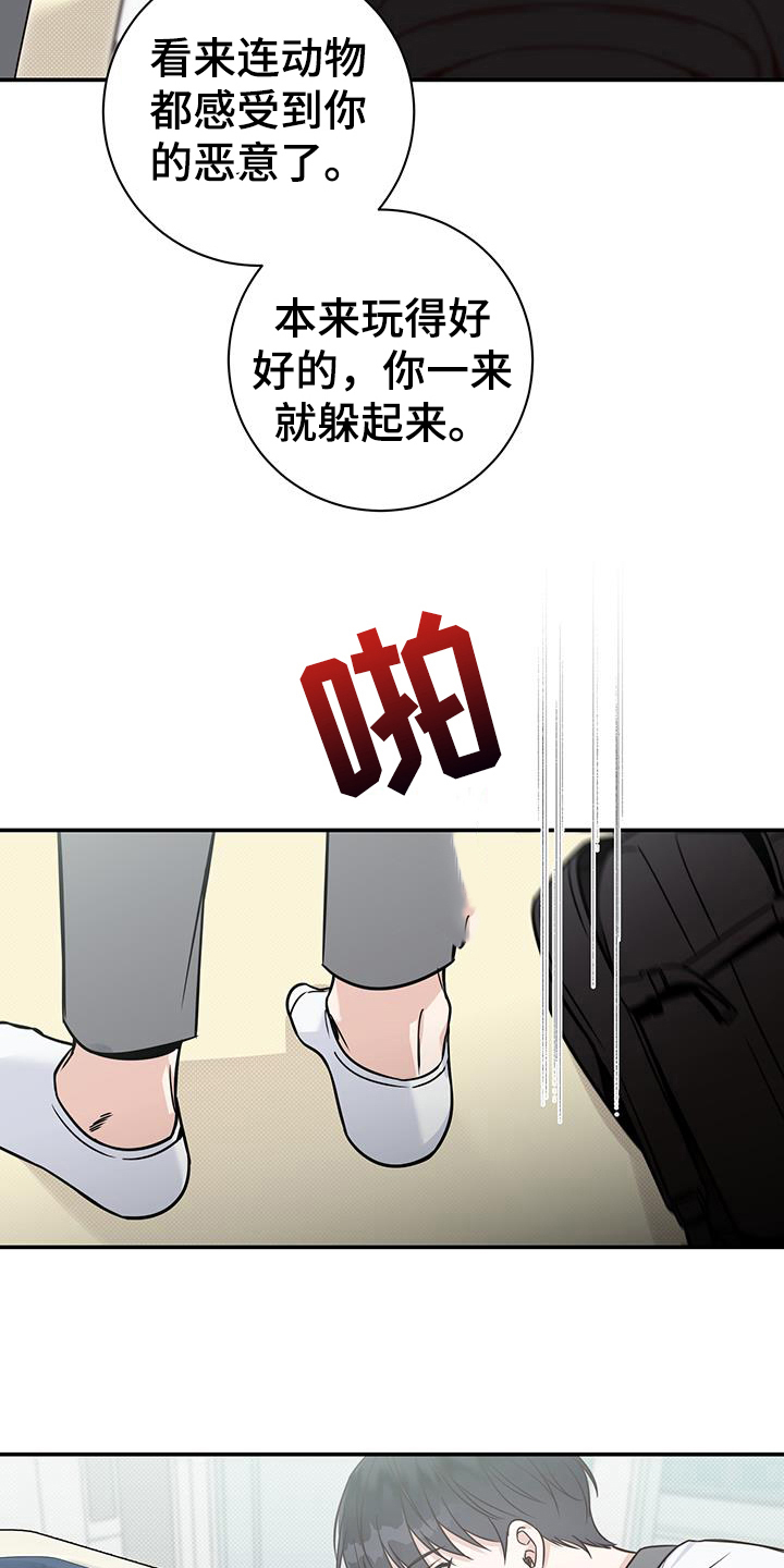 14.jpg