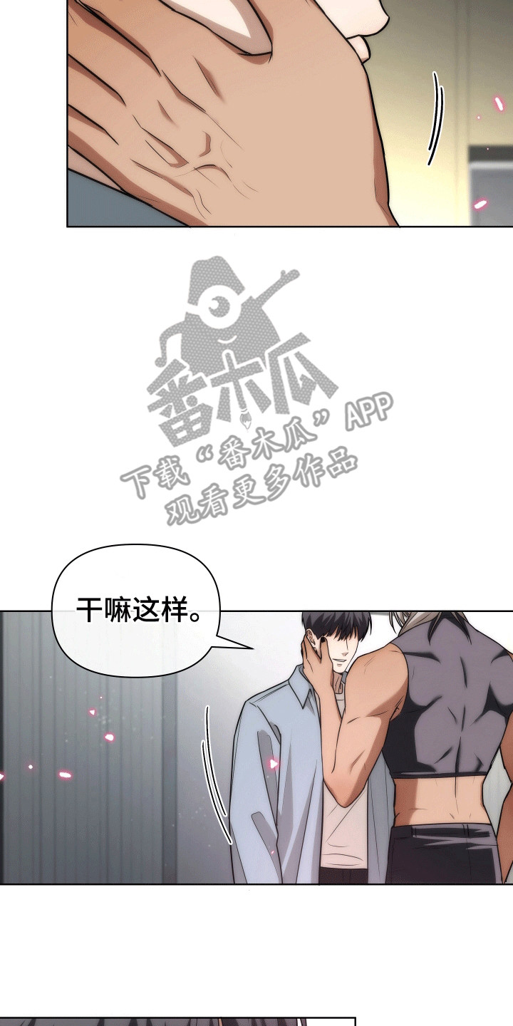 15.jpg