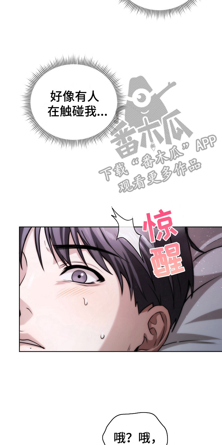 11.jpg
