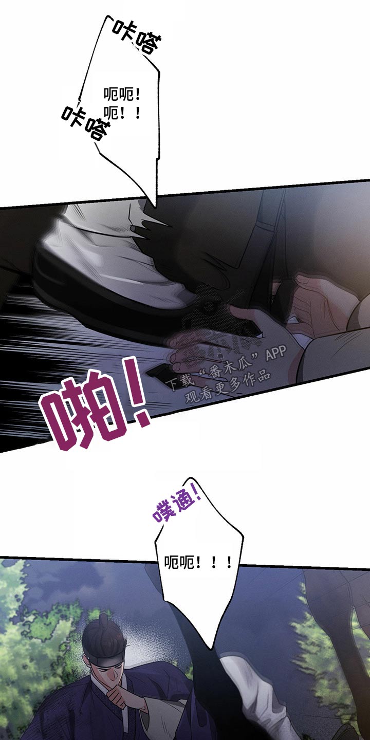 15.jpg
