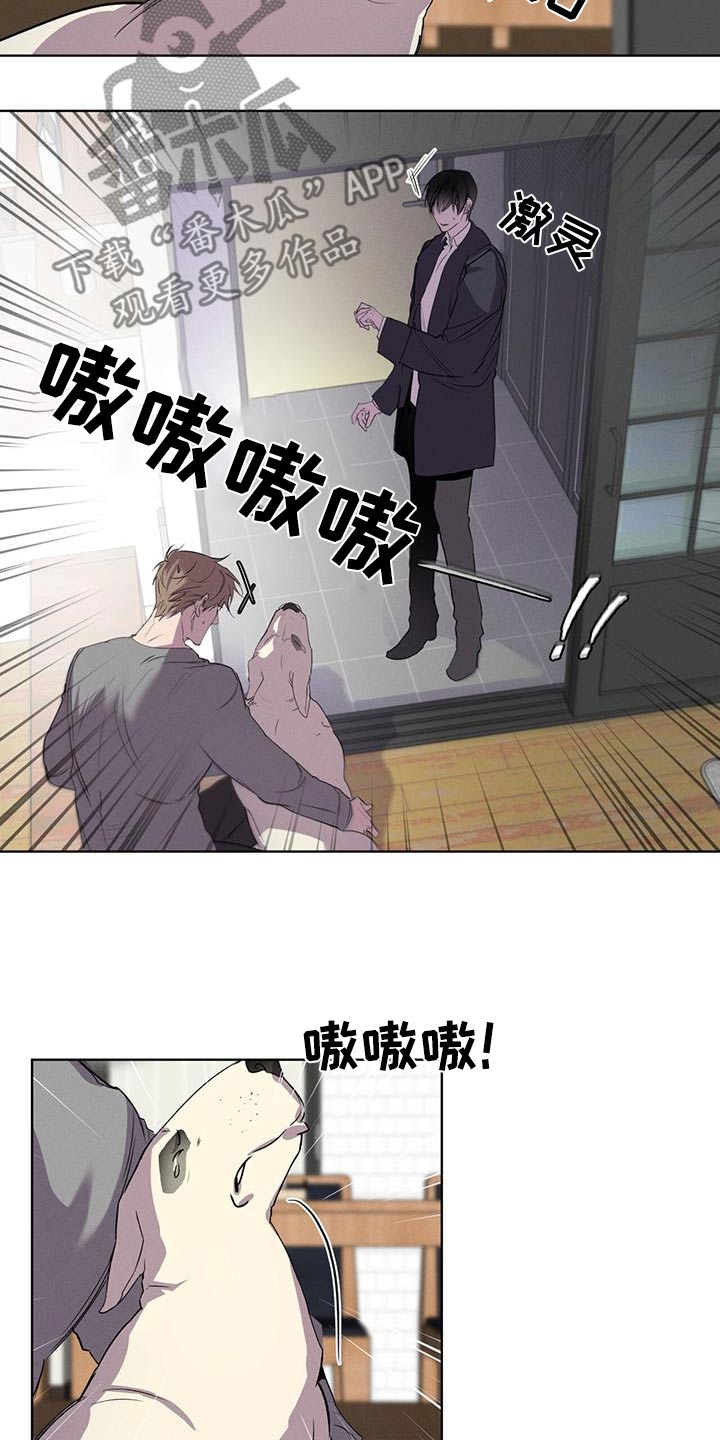 28.jpg