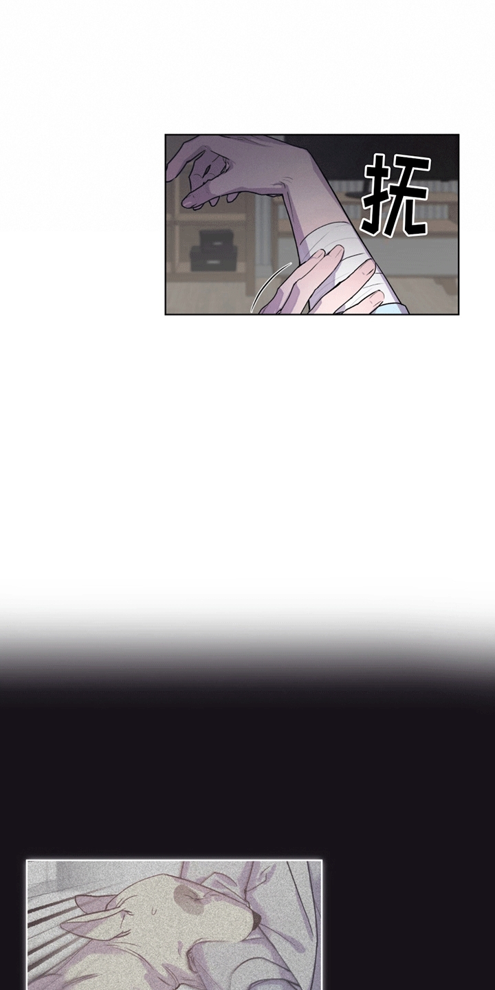 20.jpg
