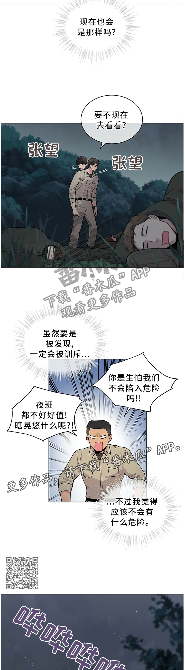 6.jpg