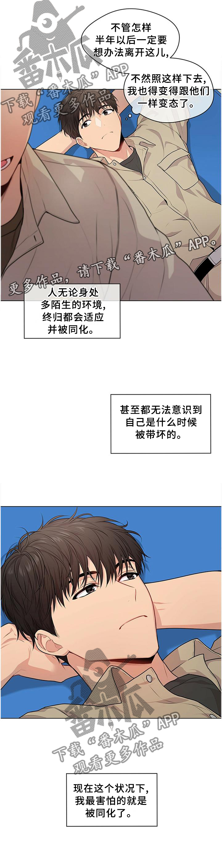 7.jpg