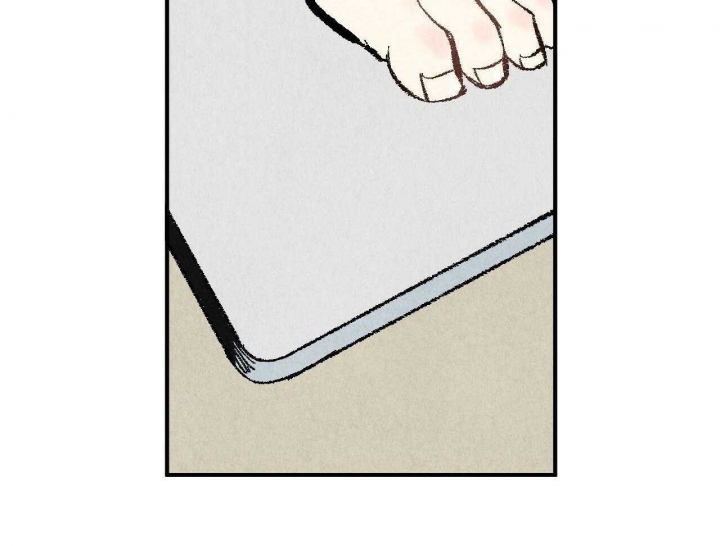 54.jpg