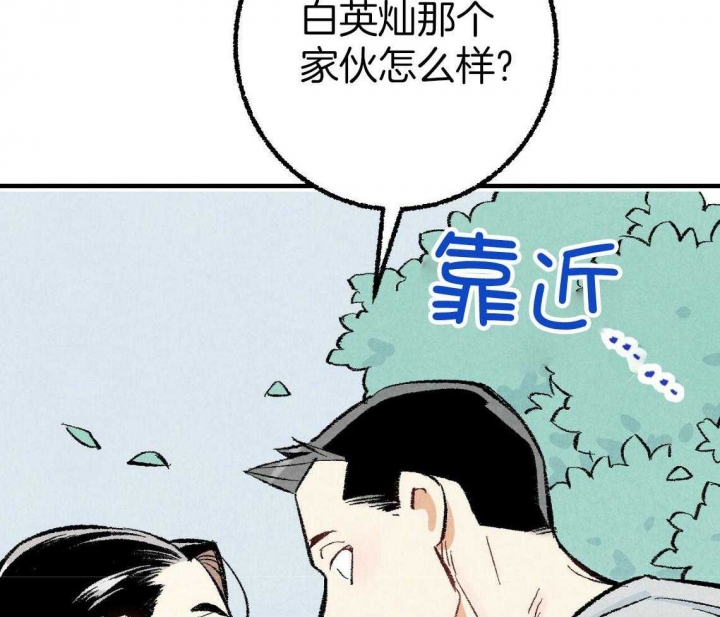 51.jpg