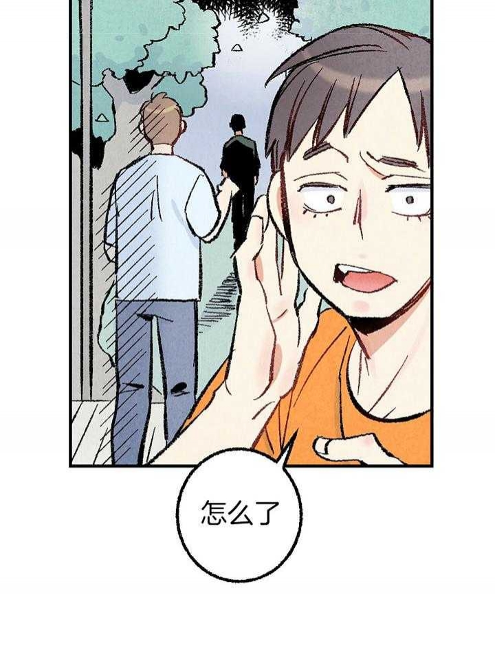 24.jpg