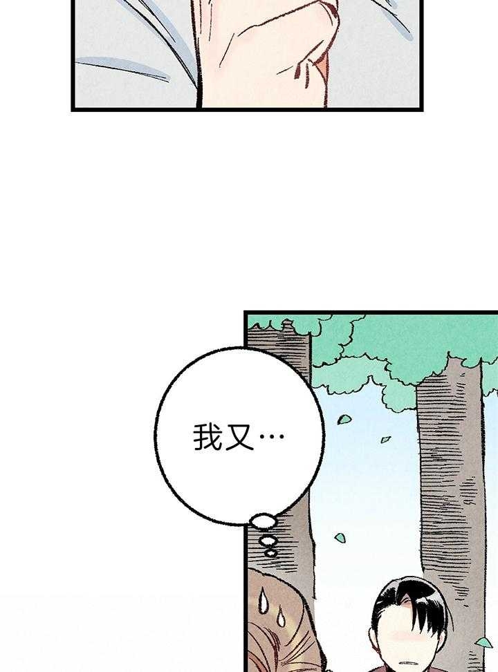 11.jpg
