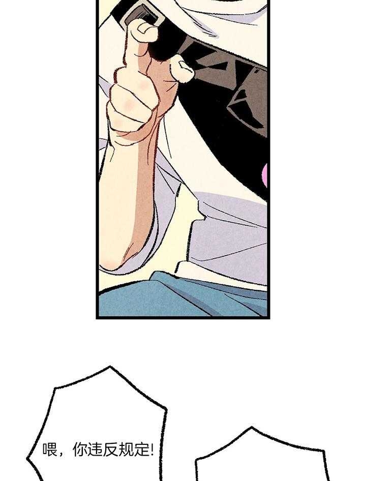 17.jpg
