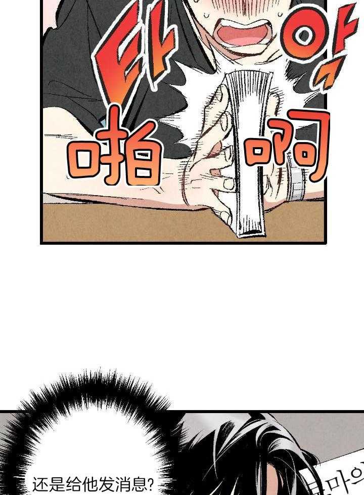 31.jpg