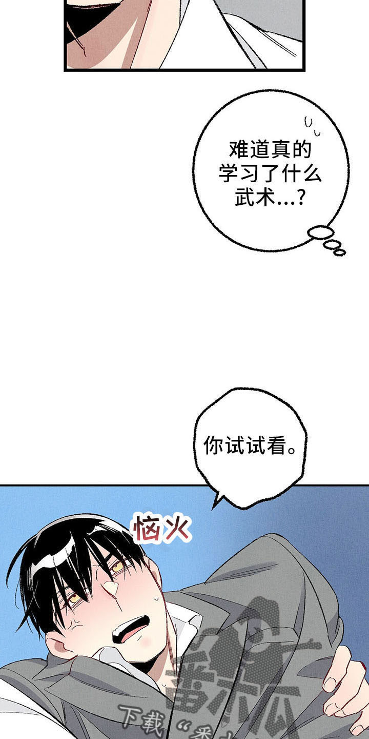 19.jpg