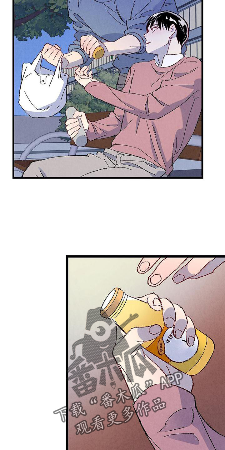 15.jpg