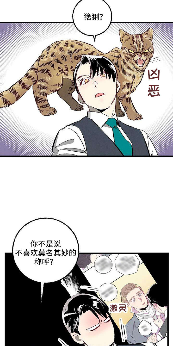 18.jpg