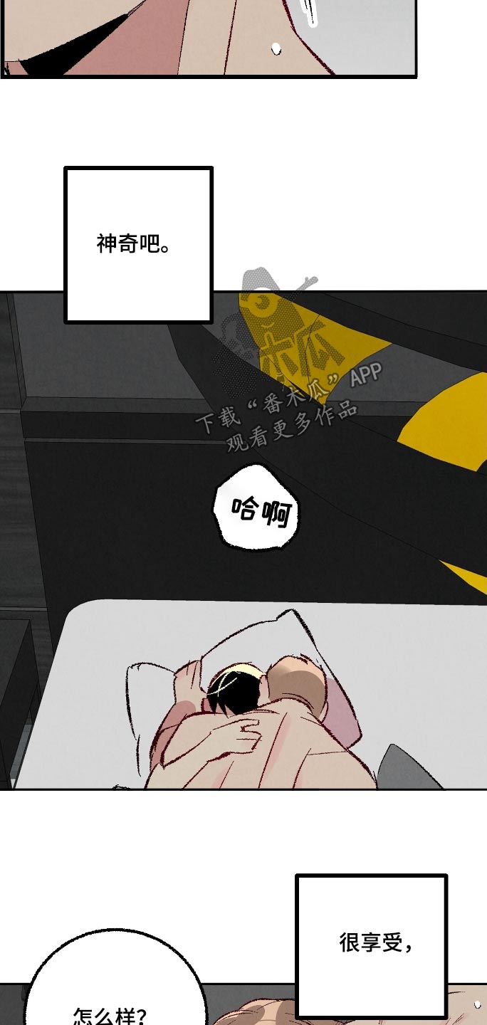 22.jpg